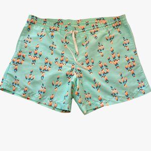 CHUBBIES Swim Shorts L Cactus Print Mint Green